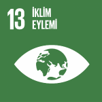 BM Sürdürülebilir Kalkınma Amaçları 13 İklim Eylemi