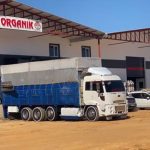 İnanç Organik Elektrik Projesi