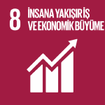 BM Sürdürülebilir Kalkınma Amaçları 8 İnsana Yakışır İş ve Ekonomik Büyüme